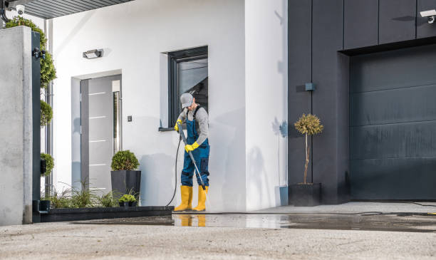Best Graffiti Removal  in Spring Valley, IL